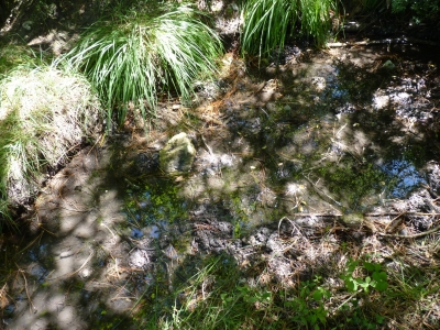 Fuente de las Tejedas II - imagen 1