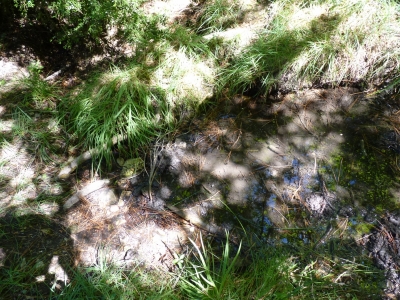Fuente de las Tejedas II - imagen 2