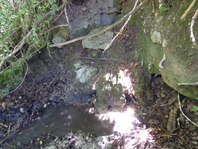 Fuente de las Tejedas II - imagen 3