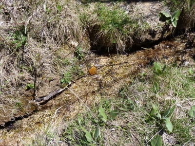 Fuente del Tío Cristóbal - imagen 2
