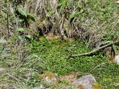 Fuente del Tío Cristóbal - imagen 3