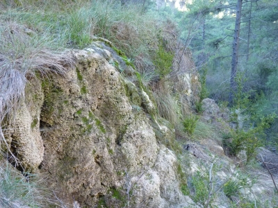 Fuente de la Tobilla - imagen 4