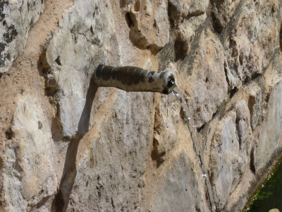 Fuente del Tormo - imagen 3