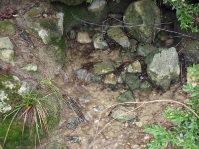 Fuente de Valdecaridad I - imagen 3