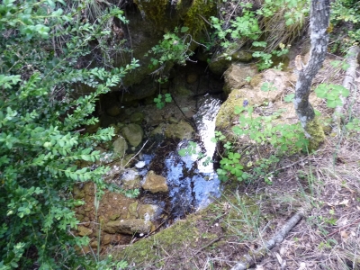 Fuente del Vallejo de la Chorrera - imagen 1