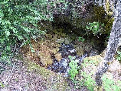 Fuente del Vallejo de la Chorrera - imagen 2