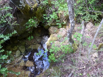 Fuente del Vallejo de la Chorrera - imagen 3