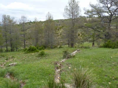 Fuente del Vaso - imagen 6