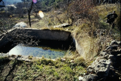 Fuente del Berral - imagen 1
