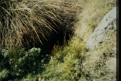 Fuente del Berral - imagen 2