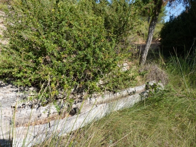 Fuente de la Cagueta - imagen 2