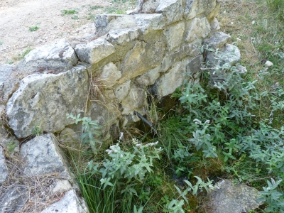 Fuente Canaleja del Valle - imagen 3