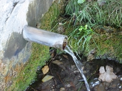 Fuente de las Canalejas - imagen 4