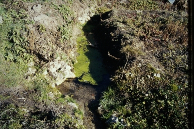 Fuente de los Cáñamos - imagen 1