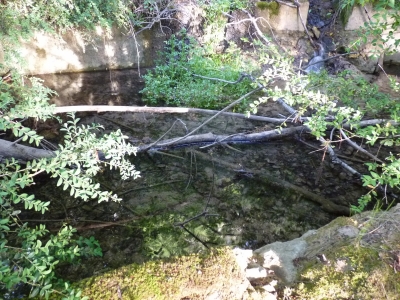 Fuente de la Cerca de Bernardino - imagen 2