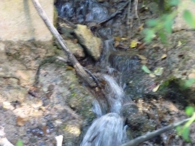 Fuente de la Cerca de Bernardino - imagen 7