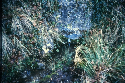 Fuente los Cerezuelos - imagen 1