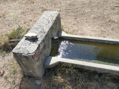 Fuente del Fresno - imagen 3