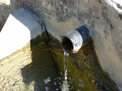 Fuente del Fresno - imagen 7