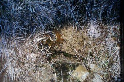 Fuente Juan Esteban - imagen 1