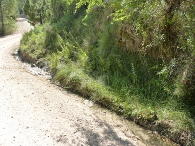 Fuente Juan Esteban - imagen 2