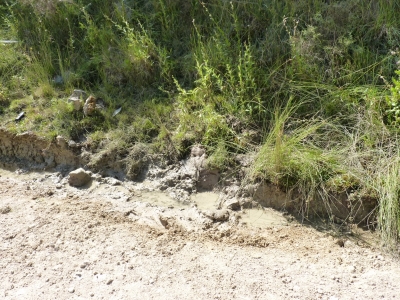 Fuente Juan Esteban - imagen 3