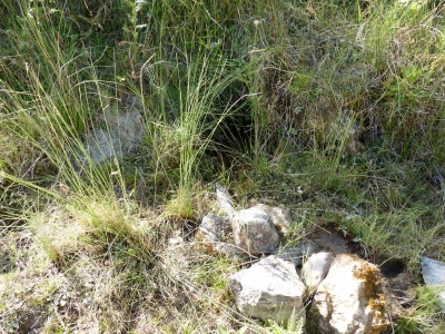 Fuente Juan Esteban - imagen 4