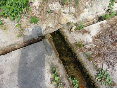 Fuente del Lavadero - imagen 1
