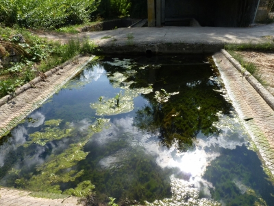 Fuente del Lavadero - imagen 2