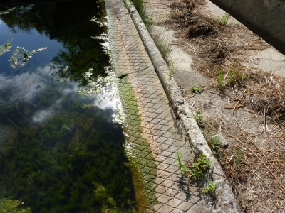 Fuente del Lavadero - imagen 3