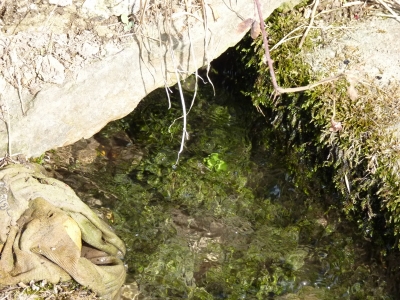 Fuente del Lavadero - imagen 4