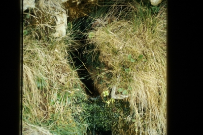 Fuente del Pino - imagen 1