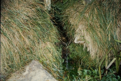 Fuente del Pino - imagen 2