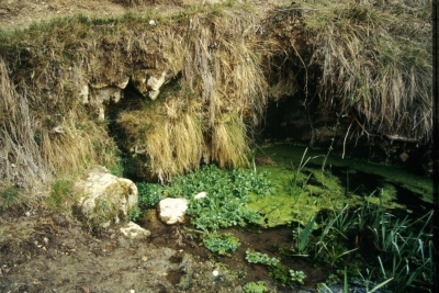 Fuente del Pino - imagen 3