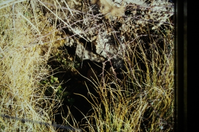 Fuente de Simón - imagen 3