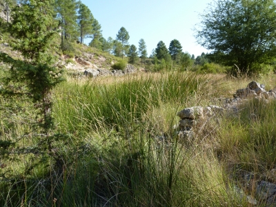 Fuente de Simón - imagen 4