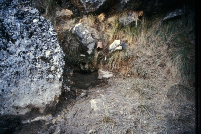 Fuente de los Tormos de la Nava - imagen 1