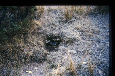 Fuente de la Zarza - imagen 1