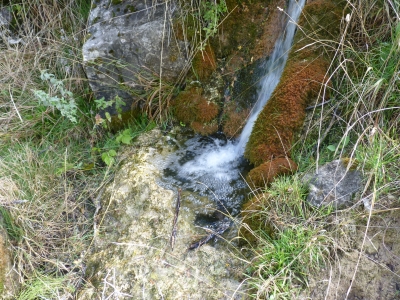 Fuente del Herrero - imagen 2