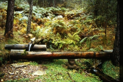 Fuente la Soldá - imagen 1