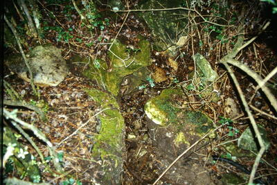Fuente el Chaldón - imagen 1