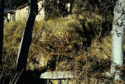 Fuente el Colmenar de sierra - imagen 1
