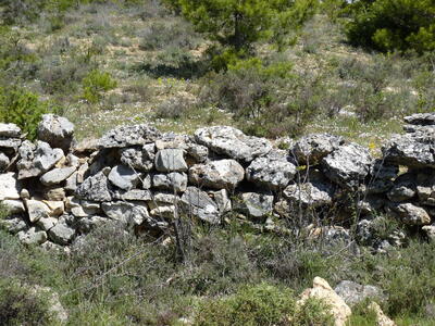 Fuente del Cubillo - imagen 5