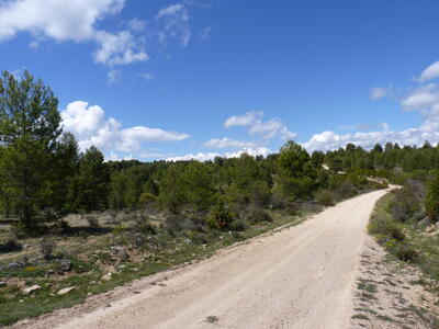 Fuente del Cubillo - imagen 6