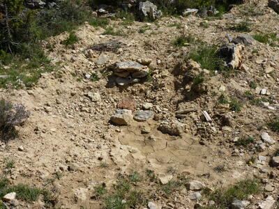 Fuente del Cubillo - imagen 2