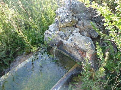 Fuente del Hoyo - imagen 2