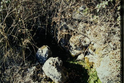 Fuente la Serna - imagen 1