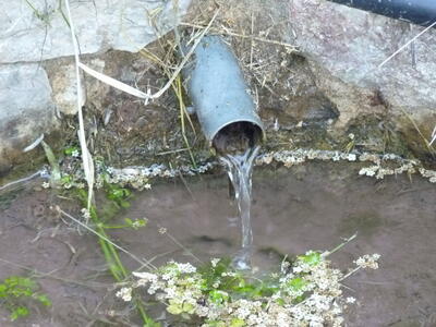 Fuente Marta - imagen 3