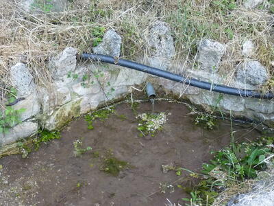 Fuente Marta - imagen 2