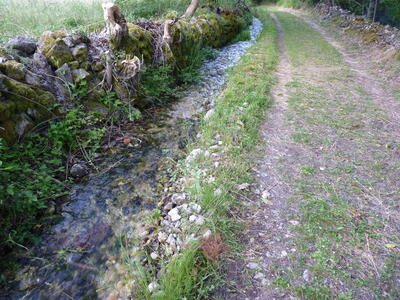 Fuente Marta - imagen 4